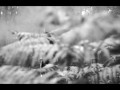 Feist - How Come You Never Go There