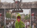 Piraci z Karaibów - Kermit na premierze  zwiastun (trailer)
