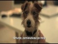 Debiutanci - Beginners  zwiastun (trailer)