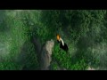 RIO 3D  zwiastun (trailer)