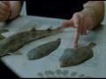 ANGELE & TONY  zwiastun (trailer)