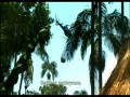 Sanctum  zwiastun (trailer)