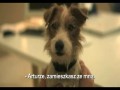 Amatorzy czyli Beginners  zwiastun (trailer)