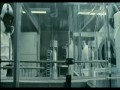 Bunt ma?p czyli Rise of the Apes  zwiastun (trailer)