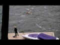 Martha Marcy May Marlene  zwiastun (trailer)