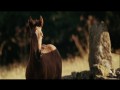 War Horse  zwiastun (trailer)