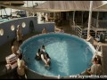 Mój przyjaciel delfin - Dolphin Tale  zwiastun (trailer)