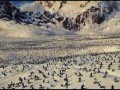 Happy Feet Tupot ma?ych stóp 2 - Happy Feet 2  zwiastun (trailer)