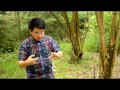 Sztuczki z yoyo
