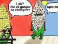 Nie za gorąco na zewnątrz?