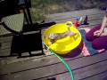 Piesek nie chce się wykąpać