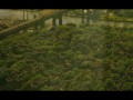 The Son of No One  zwiastun (trailer)