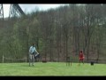 Pina  zwiastun (trailer)