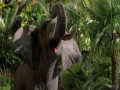 Journey 2 The Mysterious Island  zwiastun (trailer)