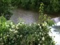 Spokojna rzeczka