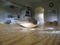 Clam Eats Salt