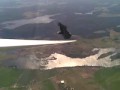 Nietypowe spotkanie w powietrzu