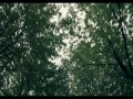 The Moth Diaries