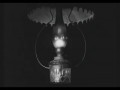 Koń Turyński - A Torinoi Lo