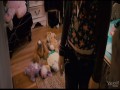 Girl in Progress  zwiastun (trailer)