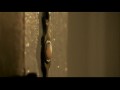 House At The End Of The Street  zwiastun (trailer)