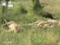 Niewyjaśnione zjawisko
