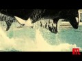 Rust and Bone  zwiastun (trailer)