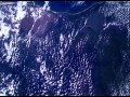 Trashed  zwiastun (trailer)