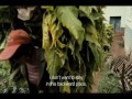 China Heavyweight  zwiastun (trailer)