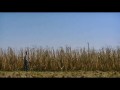 Looper