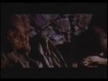 Nosferatu wampir (Nosferatu Phantom der Nacht, 1979)  zwiastun (trailer)