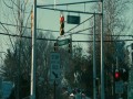 Compliance  zwiastun (trailer)