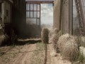 A Lonely Place for Dying  zwiastun (trailer)
