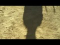 Hirokin  zwiastun (trailer)