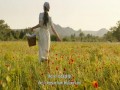The Well-Diggers Daughter  zwiastun (trailer)