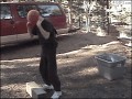 Fail