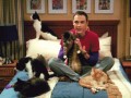 Sheldon
