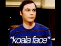 Koala face