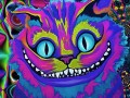 Kot z cheshire