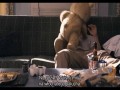 Ted  zwiastun (trailer)