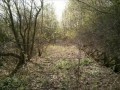 Nieczynna linia kolejowa Bolków - Marciszów