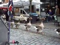 Tymczasem w Wielkiej Brytanii...