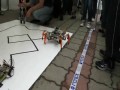 Polski robot pająk
