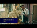 Butter  zwiastun (trailer)