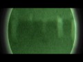 The Revenant  zwiastun (trailer)
