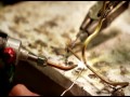 Paranorman    zwiastun (trailer)