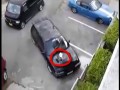 Kot na pewno się tego nie spodziewał