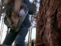 Chuck Norris i jego kolejny talent