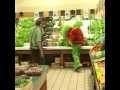 Żółw (Remi Gaillard)
