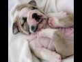chillout